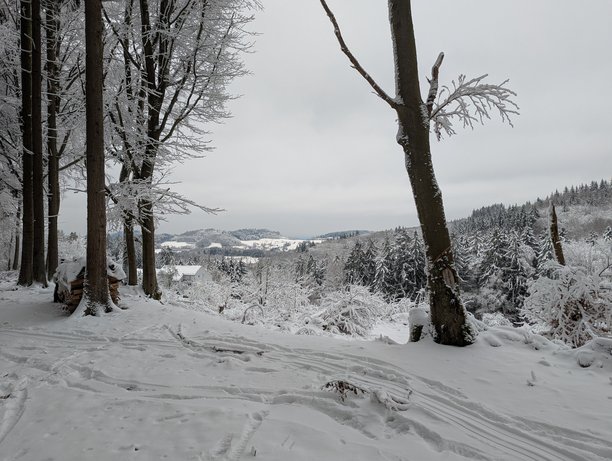 Winter